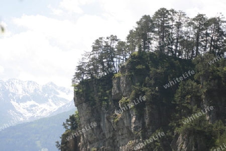 Wilder Fels, Baeume auf seiner Spitze