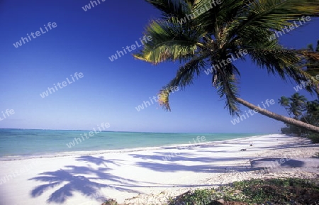 Ein Traumstrand in Bwejuu im osten der Insel Zanzibar im Indischen Ozean in Tansania in Afrika.