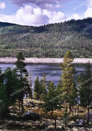 Blick auf den Palsbufjord