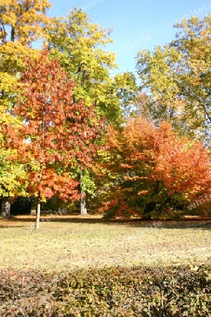 Herbststimmung