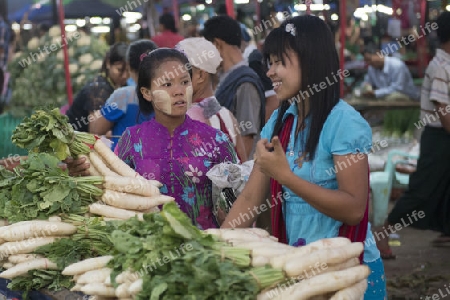 a fegetable market in a Market near the City of Yangon in Myanmar in Southeastasia.