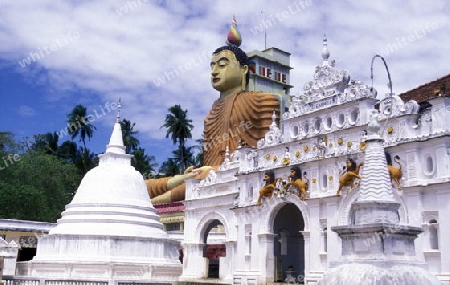 Eine Buggha Figur im Weherahena Tempel im sueden von Sri Lanka in Asien.