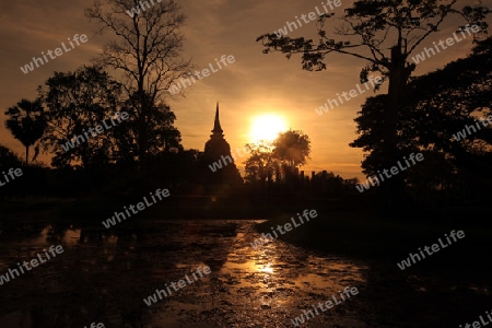 Der Wat Mahathat Tempel in der Tempelanlage von Alt-Sukhothai in der Provinz Sukhothai im Norden von Thailand in Suedostasien.