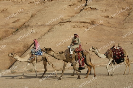 The Landscape of the Wadi Rum Desert in Jordan in the middle east.