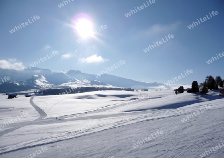 Winterlandschaft