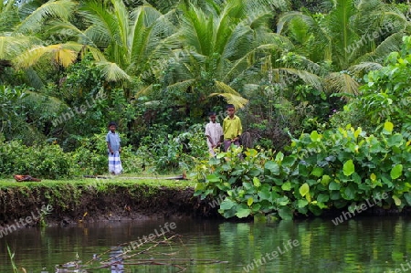 Bentota