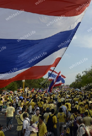 Tausende von Thailaender zelebrieren den Kroenungstag des Koenig Bhumibol auf dem Sanam Luang Park vor dem Wat Phra Kaew in der Stadt Bangkok in Thailand in Suedostasien.  