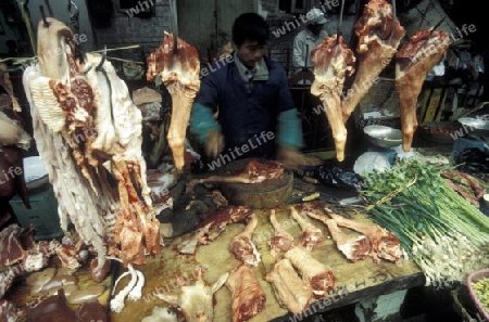 the animal Market in the city of Canton or Guangzhou in the north of Hongkong in the province of Guangdong in china in east asia. 