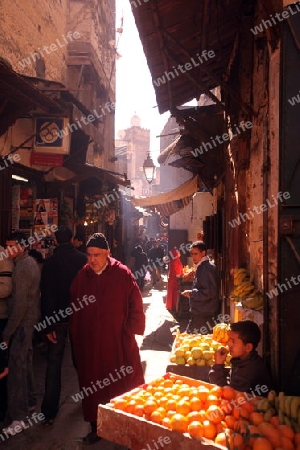 a smal Marketroad in the Medina of old City in the historical Town of Fes in Morocco in north Africa.