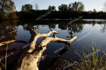 der See