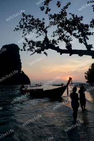 The Hat Phra Nang Beach at Railay near Ao Nang outside of the City of Krabi on the Andaman Sea in the south of Thailand. 