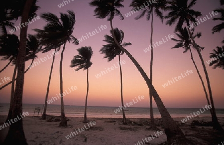 Der Traumstrand  von Michamvi am Chwaka Bay an der Ost-Kueste auf der Insel Zanzibar welche zu Tansania gehoert.         