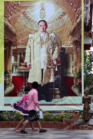 Ein grosses Bild des Koenig Bhumipol Adulyadej Rama 9 in der Tempel Anlage des Wat Phra That Doi Suthep bei Chiang Mai in der Provinz Chiang Mai im Norden von Thailand in Suedostasien.