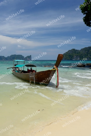 A Beach on the Island of Ko PhiPhi on Ko Phi Phi Island outside of the City of Krabi on the Andaman Sea in the south of Thailand. 