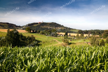 Landschaft mit Leuchtenburg