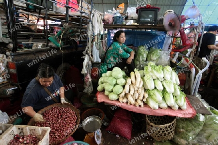 Menschen auf dem Grossen Lebensmittelmarkt von Talat Warorot in Chiang Mai im Norden von Thailand. 