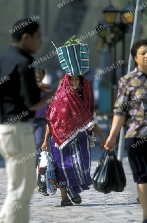 Gewuerze und Lebensmittel auf dem Souq oder Markt in der Altstadt oder Medina von Sousse am Mittelmeer  in Tunesien in Nordafrika.   