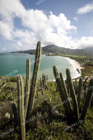 Suedamerika, Karibik, Venezuela, Isla Margarita, Pedro Gonzalez, Playa, Beach, Strand, Bucht, Ferien, Traumstrand, Idylle, Landschaft, Kaktus, Kueste