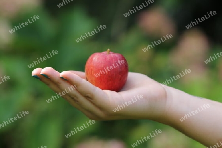 Roter Apfel