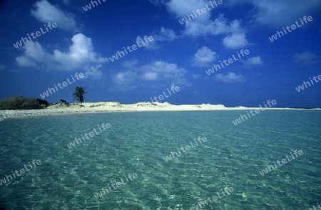 Afrika, Tunesien, Jerba
Ein Strand auf der Insel Jerba im sueden von Tunesien. (URS FLUEELER)






