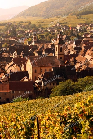 the olt town of the village of Riquewihr in the province of Alsace in France in Europe