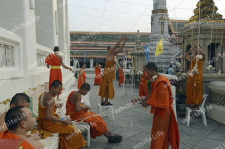 Moenche bei den Vorbereitungen auf die Neujahrsnacht Feier in der Tempelanlage des Wat Pho in der Hauptstadt Bangkok von Thailand in Suedostasien.