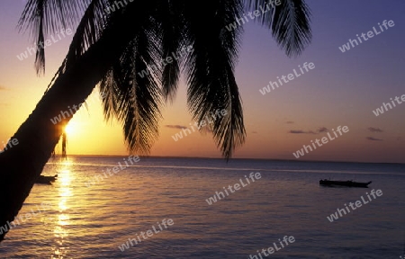 Ein Traumstrand in Bwejuu im osten der Insel Zanzibar im Indischen Ozean in Tansania in Afrika.