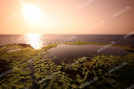 Asien, Indonesien, Bali, Nusa Lembongan, Landschaft, Natur, Meer,
Die Kuestenlandschaft an der Kueste der Insel Nusa Lembongan bei Bali im osten von Indonesien.       (Urs Flueeler) 