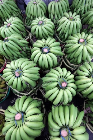 Bananen auf dem Pak Khlong Markt von Bangkok der Hauptstadt von Thailand in Suedostasien.