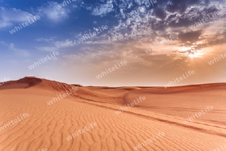 Desert Dubai