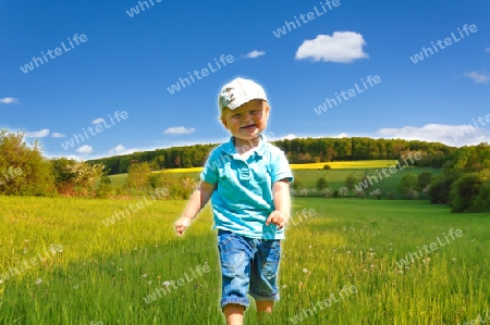 Little boy walking through the fields in summer