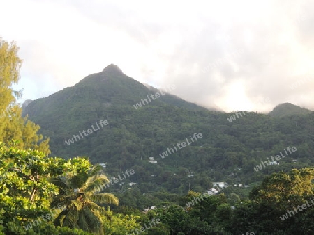 Seychellen Beau Vallon Berg