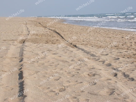 Fahrspur im Sand