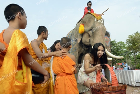 Das Songkran Fest oder Wasserfest zum Thailaendischen Neujahr ist im vollem Gange in Ayutthaya noerdlich von Bangkok in Thailand in Suedostasien.  