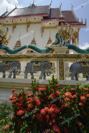 Der Tempel Wat Pak Saeng bei Lakhon Pheng am Mekong River in der Provinz Amnat Charoen nordwestlich von Ubon Ratchathani im nordosten von Thailand in Suedostasien.