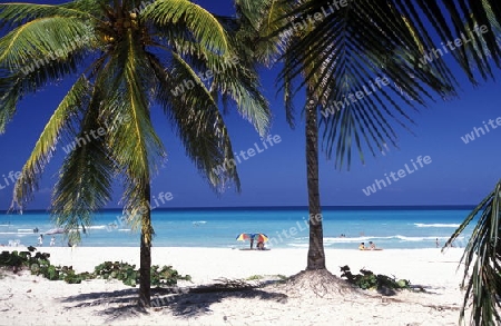 a beach on the coast of Varadero on Cuba in the caribbean sea.