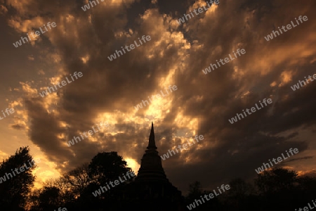 Der Wat Chang Lom im Si Satchanalai-Chaliang Historical Park rund 50 Km von Sukhothai in der Provinz Sukhothai im Norden von Thailand in Suedostasien.