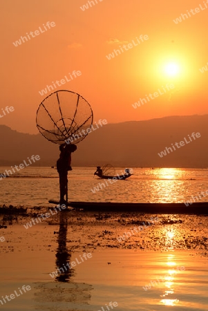 Fishermen at sunset in the Landscape on the Inle Lake in the Shan State in the east of Myanmar in Southeastasia.