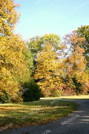 Im Neuen Garten von Potsdam