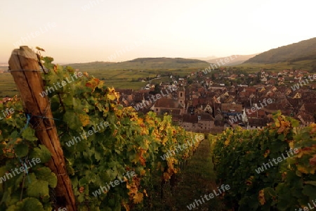 the olt town of the village of Riquewihr in the province of Alsace in France in Europe