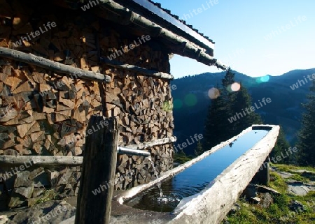 Wassertrog auf Alm 