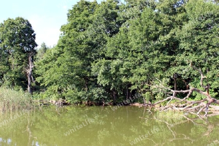 Stille Natur. Masurische Seenplatte