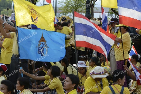 Tausende von Thailaender zelebrieren den Kroenungstag des Koenig Bhumibol auf dem Sanam Luang Park vor dem Wat Phra Kaew in der Stadt Bangkok in Thailand in Suedostasien.  