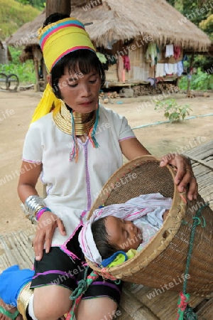 Eine Traditionell gekleidete Langhals Frau eines Paudang Stammes aus Burma lebt in einem Dorf noerdlich von Chiang Mai in Nord Thailand. 