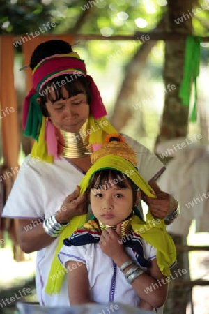 Eine Traditionell gekleidete Langhals Frau eines Paudang Stammes aus Burma lebt in einem Dorf noerdlich von Chiang Mai in Nord Thailand.