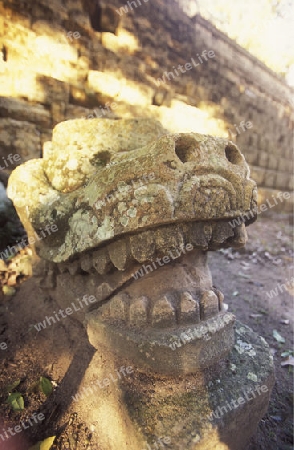 The Ruins of Copan in Honduras in Central America,