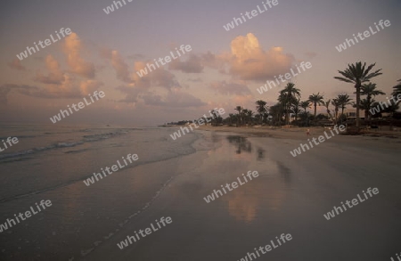 Ein Sandstrand auf der Insel Jierba im Sueden von Tunesien in Nordafrika. 