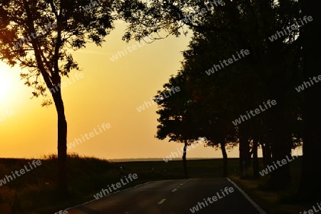 Stra?e im Sonnenuntergang