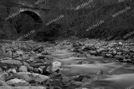 Black & White River