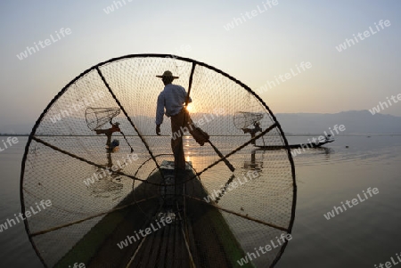 Fishermen at sunrise in the Landscape on the Inle Lake in the Shan State in the east of Myanmar in Southeastasia.